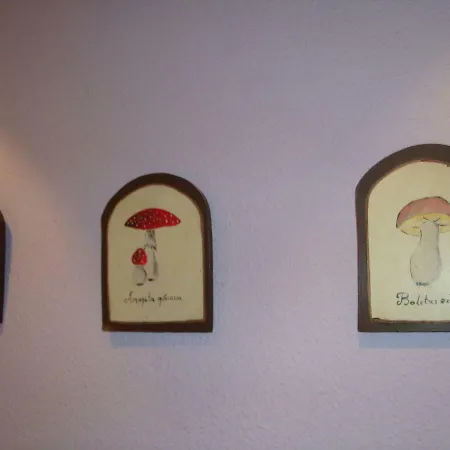 Apartamento Casa Go Torla Extérieur photo